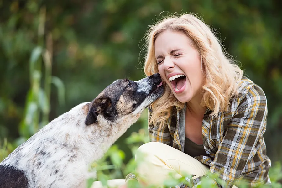 Pet Friendly at Chandler Station in Lawrenceville, GA