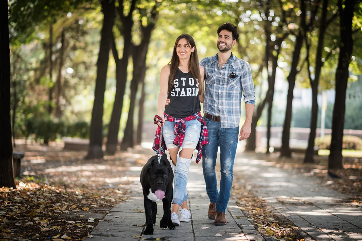 Pet Friendly at Chandler Station in Lawrenceville, GA